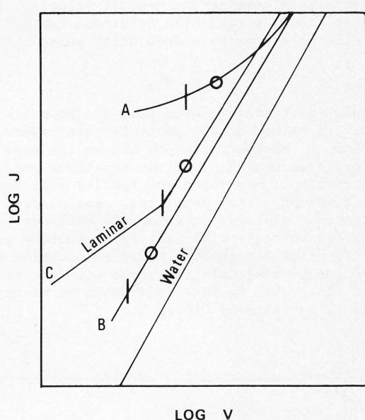 Figure from the original paper
