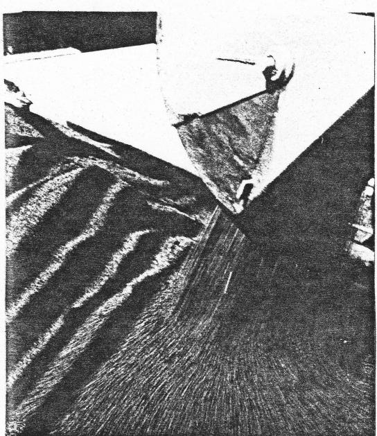 Figure from the original paper