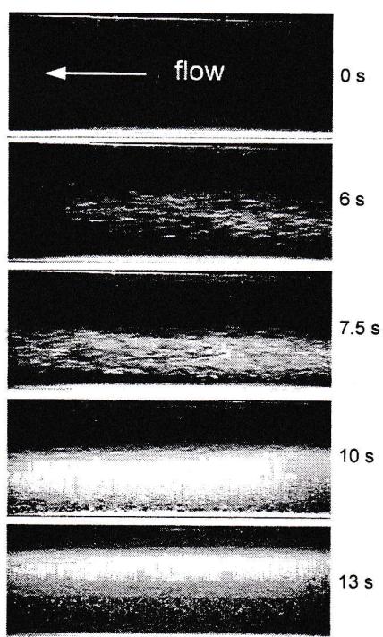 Figure from the original paper